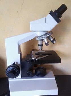 Laboratory services