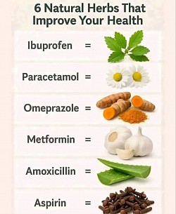 Herbal remedies for the drug action